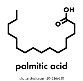 Palmitic (hexadecanoic) acid saturated fatty acid molecule. Skeletal formula.