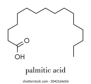 Palmitic (hexadecanoic) acid saturated fatty acid molecule. Skeletal formula.