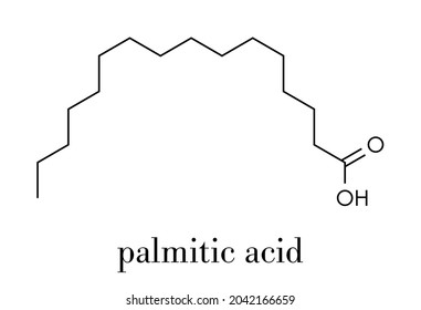 Palmitic (hexadecanoic) acid saturated fatty acid molecule. Skeletal formula.