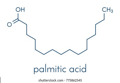 Palmitic (hexadecanoic) acid saturated fatty acid molecule. Skeletal formula.