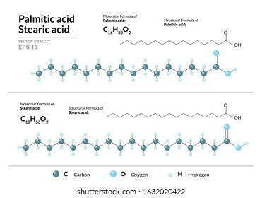 Palmitic and Stearic acids. Hexadecenoic and Octadecanoic Acids. Structural chemical formula and molecule 3d model. Atoms with color coding. Vector illustration