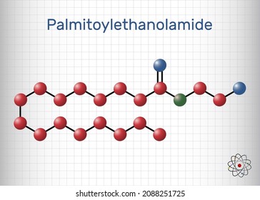 Palmitoylethanolamide, palmitoyl ethanolamide, palmidrol, PEA molecule. It is endogenous fatty acid amide. Molecule model. Sheet of paper in a cage. Vector 