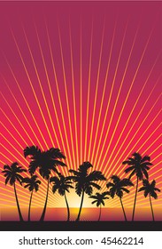 Palms