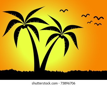 Palms with birds