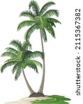 Palms. Coconut trees on the beach, vector illustration isolated on white background