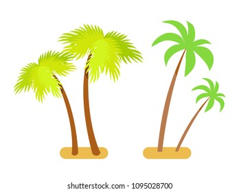 Palms collection green set. Trees with broad big branchess that have leaves. Exotic tropical plant vector illustrations isolated on white background.