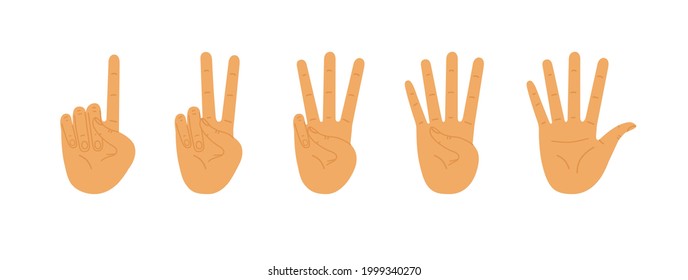 Palms count from one to five. Counting hands, hand gestures. Vector flat illustration isolated on white background.