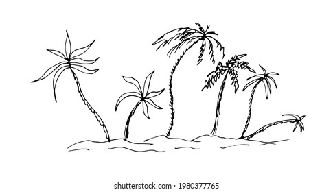 Palms of different sizes. Linear vector drawing, sketch.