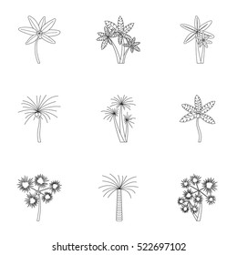 Palms icons set. Outline illustration of 9 palma vector icons for web