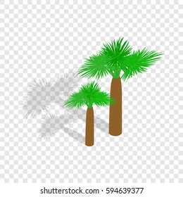 Palms isometric icon 3d on a transparent background vector illustration