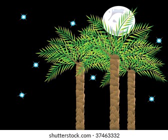 Palms on background of the moon and starry sky. Vector illustration