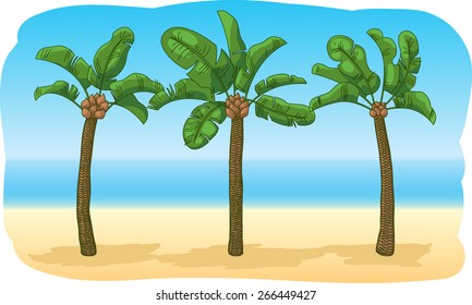 Palms on the exotic beach.