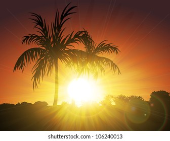 Palms on Sunset