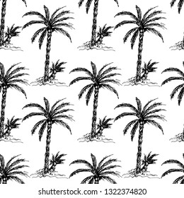 Palms. Seamless pattern. Vector illustration.