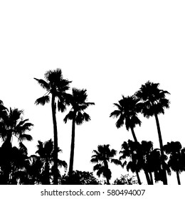 Palms silhouette. Summertime landscape.