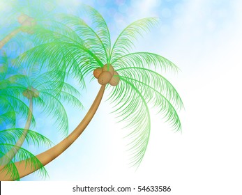 palms in sunlight over blue sky, copyspace for your text