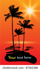 Palms at sunset