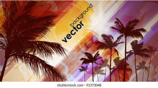 Palms at sunset