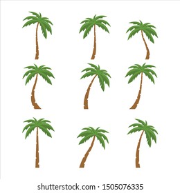 Palms tree icons with color on white background
