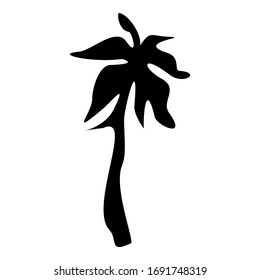 Palms tree icons isolated on white background