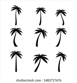 Palms tree icons on white background
