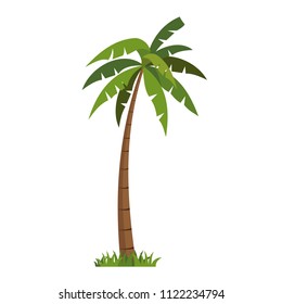  Palms tree  icons vector.