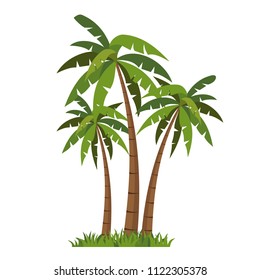 Palms tree icons vector.