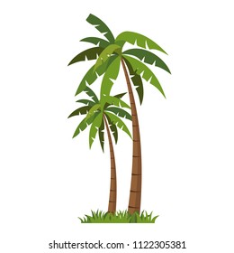 Palms tree icons vector.