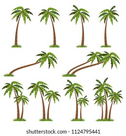 Palms tree  icons vector.