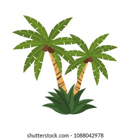 Palms tree isolated