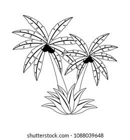 Palms tree isolated on black and white colors