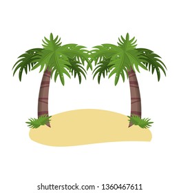 Palms trees on beach