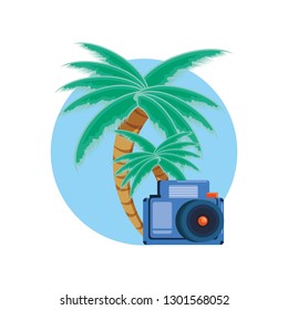 palms trees with photographic camera