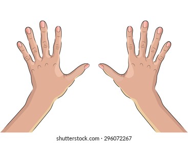 Palms of two hands from the outside. A wrist.