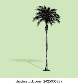 Palmtree Clipart illustration vector design