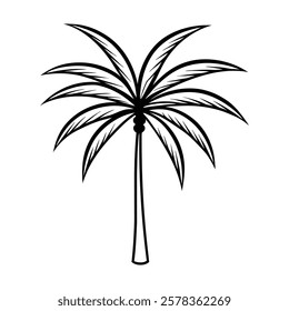 palm-tree of a line art vector (1)