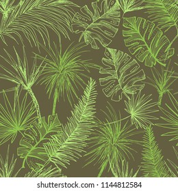 Palmtrees Seamless Pattern. Green coconut or queen palm trees with leaves. Beach and rainforest, desert coco flora. Foliage of subtropical fern. Green palmae or jungle arecaceae. Fashion Botany