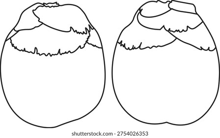 Palmyra Palm Fruit Vector Illustration featuring a clean and detailed depiction of the tropical palmyra fruit, commonly known as Asian palmyra or toddy palm fruit. This vector artwork highlights the natural shape, smooth texture, and characteristic round form of the fruit, making it ideal for use in food-related designs, agricultural projects, educational materials, and tropical-themed graphics. The illustration is created in a simple and modern vector style, suitable for logos, packaging, menus, posters, and digital media. Its scalable EPS format ensures high-quality resolution for both print and web applications without losing clarity. The design is perfect for designers, marketers, and content creators looking to represent tropical fruits, organic food, or healthy lifestyle concepts. 