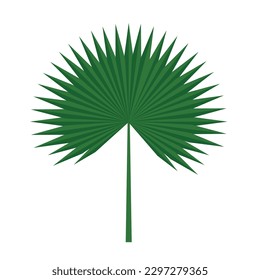hoja de palmera hoja de palmera hoja de la hoja de la hoja de la hoja plana de la ilustración del vector icono clipart