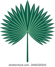 Palmyra Palm Tree Leaf Flat Vector Illustration | Logo Icon | Clipart Design