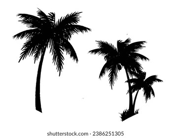 Palmyra silhouette on white background