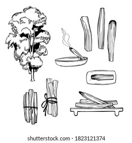 Palo Santo (Bursera graveolens) holy wood tree  from Latin America. Incense sticks for cleansing home and aura.  Vector sketch  illustration.