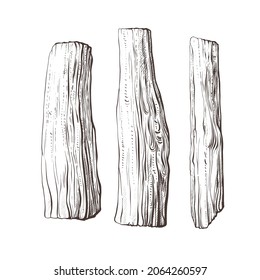 Palo santo tree, firewood set. Vector engraving on white background. Hand drawn illustration isolated. Aroma holy sticks. Natural incense