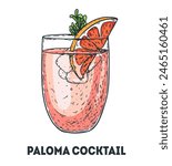 Paloma cocktail illustration. Hand drawn sketch. Vector illustration. Isolated object.