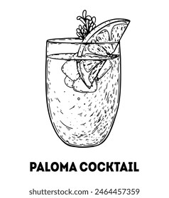 Paloma cocktail illustration. Hand drawn sketch. Vector illustration. Isolated object.