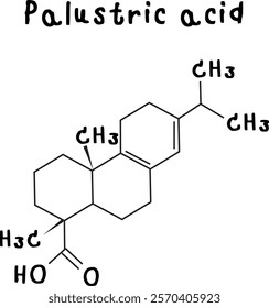 Palustric acid,chemical structure of Palustric acid illustration on transparency background