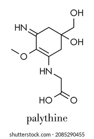 Molécula de protectores solares de la palithina. Fórmula esquelética.