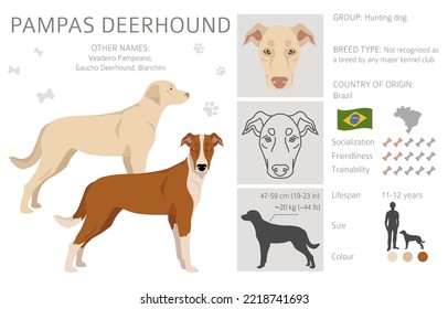 what is a brazilian deerhound