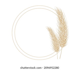 Pampas dry grass circle frame. Branch of pampas grass. Panicle, feather flower head. Vector