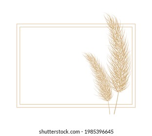Pampas Dry Grass Frame. Branch Of Pampas Grass. Panicle, Feather Flower Head. Vector